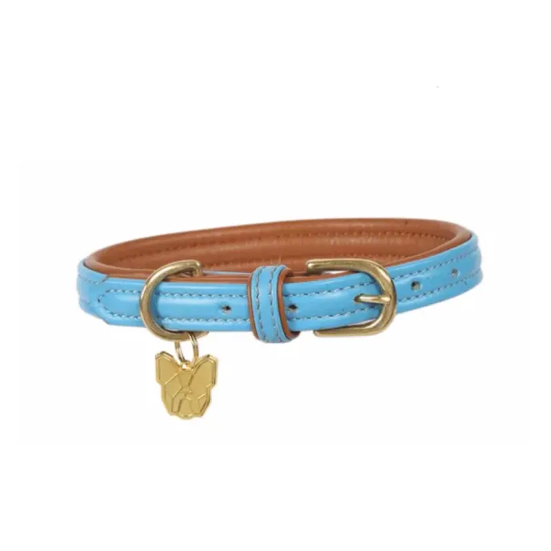 Digby and Fox Padded Leather Dog Collar - Blue